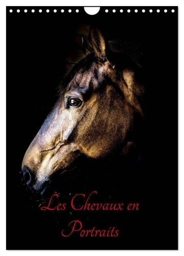 Chevaux en Portraits (Calendrier mural 2025 DIN A4 horizontal), CALVENDO calendrier mensuel. Portrai
