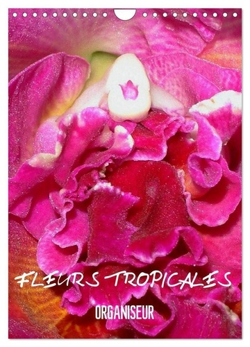 Fleurs tropicales / organiseur (Calendrier mural 2025 DIN A4 horizontal), CALVENDO calendrier mensue