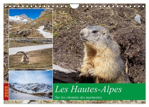 Les Hautes-Alpes sur les chemins des marmottes (Calendrier mural 2025 DIN A4 vertical), CALVENDO cal