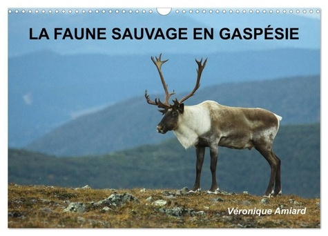 LA FAUNE SAUVAGE EN GASPÉSIE (Calendrier mural 2025 DIN A3 vertical), CALVENDO calendrier mensuel. B