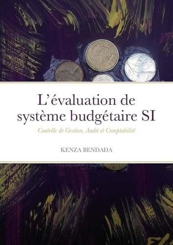 L'évaluation de système budgétaire SI. Contrôle de Gestion, Audit et Comptabilité