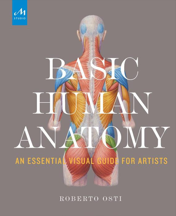 Basic Human Anatomy. An essential visual guide for artists