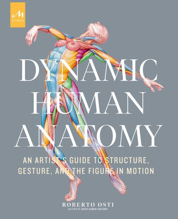 Dynamic Human Anatomy. An artist's guide to structure, gesture, and the figure in motion
