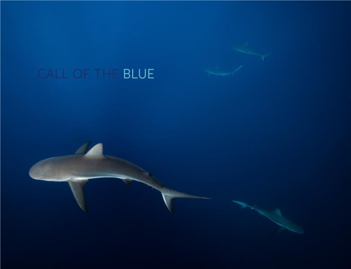 CALL OF THE BLUE