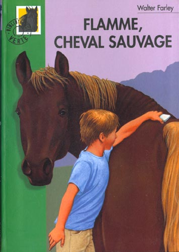 L'Etalon Noir : Flamme cheval sauvage