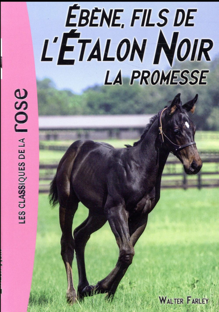 L'Etalon Noir Tome 21 : Ebène, fils de l'Etalon Noir. La promesse