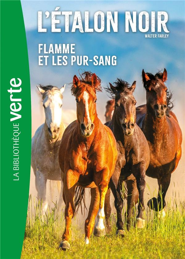 L'Etalon Noir Tome 11 : Flamme et les pur-sang