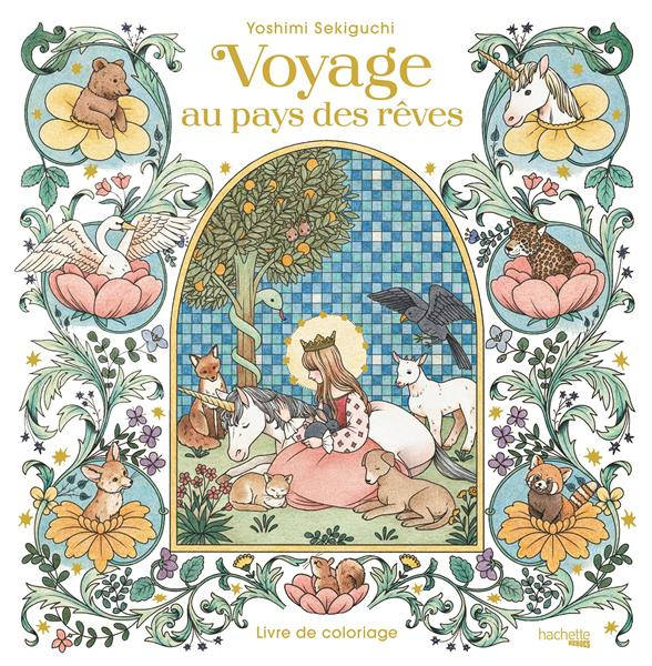 Voyage au pays des rêves. Livre de coloriage