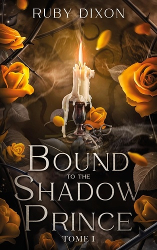 Bound to the shadow Prince. Tome 1