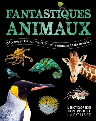 Fantastiques animaux. Découvrez les animaux les plus étonnants du monde !