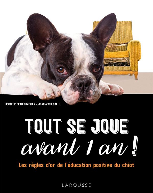Tout se joue avant 1 an ! Les règles d'or de l'éducation positive du chiot