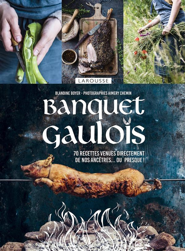 Banquet gaulois. 70 recettes venues directement de nos ancêtres... ou presque !