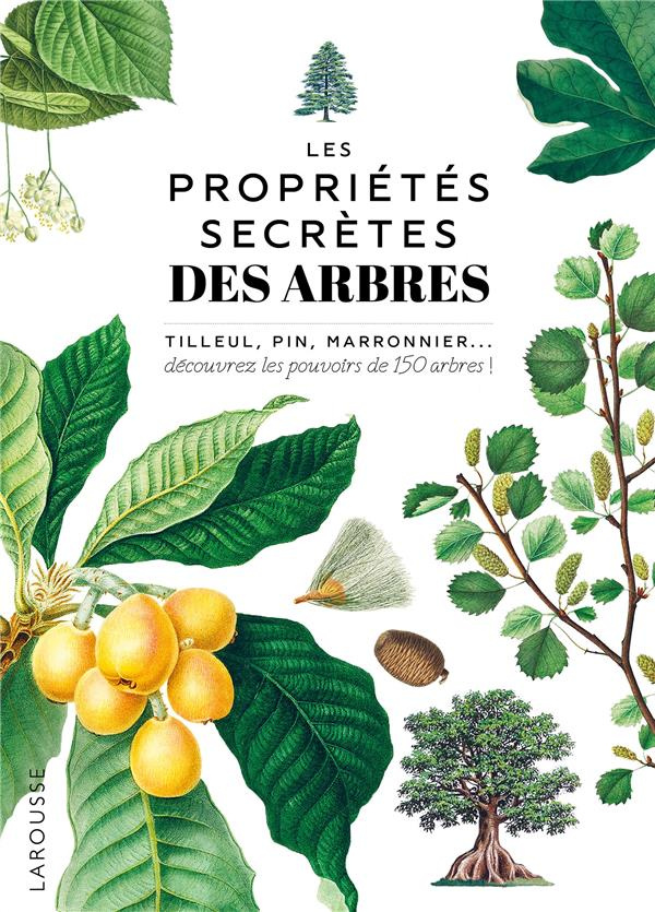 Les propriétés secrètes des arbres. Tilleul, pin, maronnier... découvrez les pouvoirs de 150 arbres