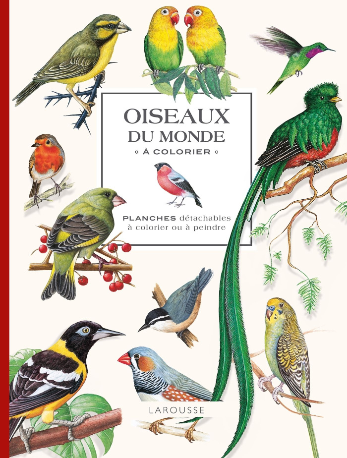 Oiseaux du monde. A colorier