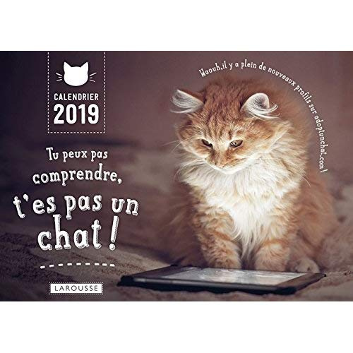 Tu peux pas comprendre, t'es pas un chat! calendrier 2019