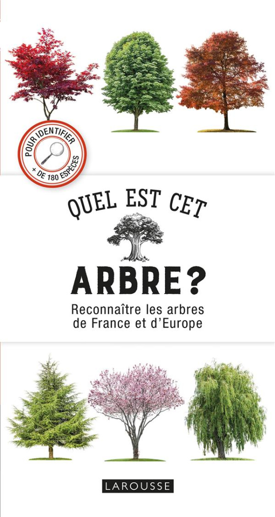 Quel est cet arbre ? Reconnaître les arbres de France et d'Europe