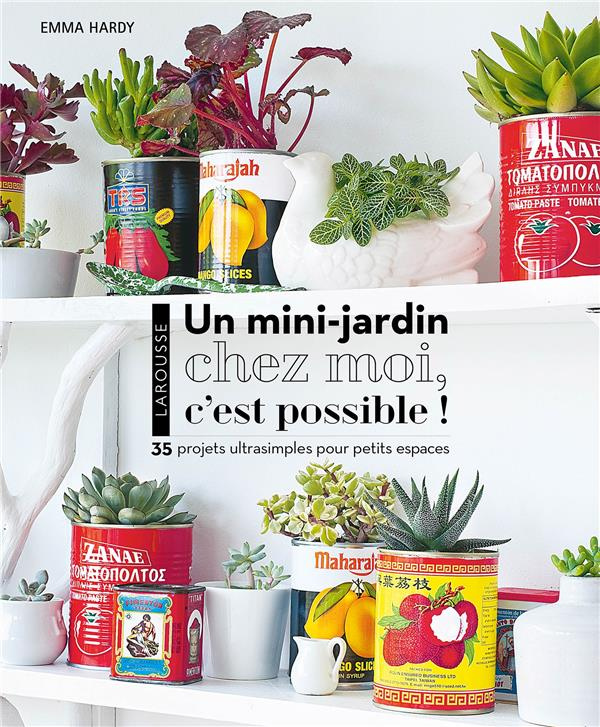 Un mini jardin chez moi, c'est possible ! 35 projets ultrasimples pour petits espaces