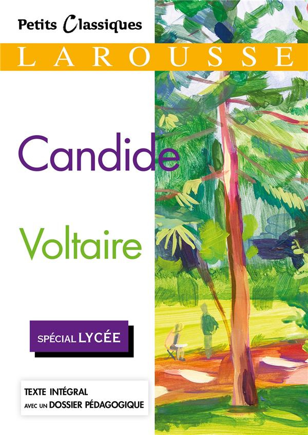 Candide ou l'Optimisme
