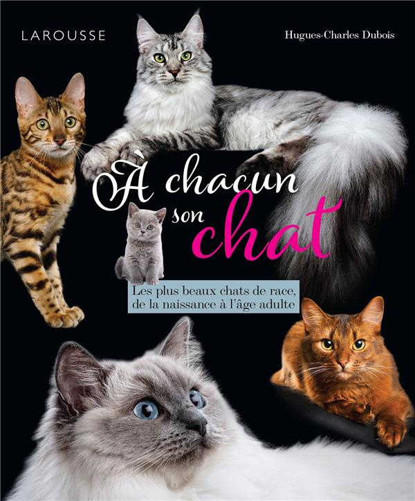 A chacun son chat. Les plus beaux chats de race, de la naissance à l'âge adulte