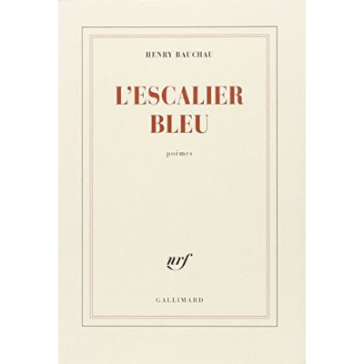 L'escalier bleu