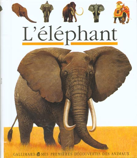 L'éléphant