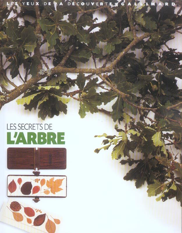 Les secrets de l'arbre