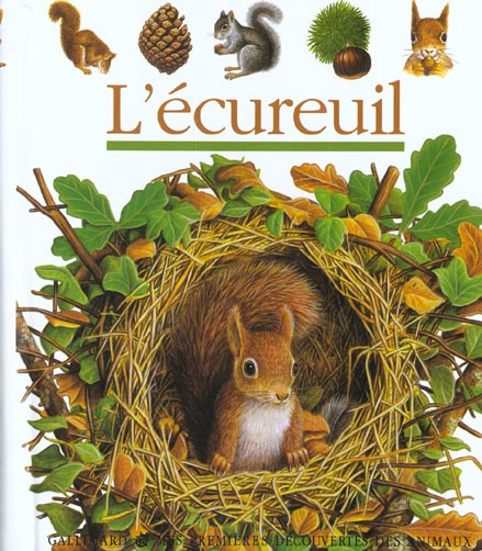 L'écureuil
