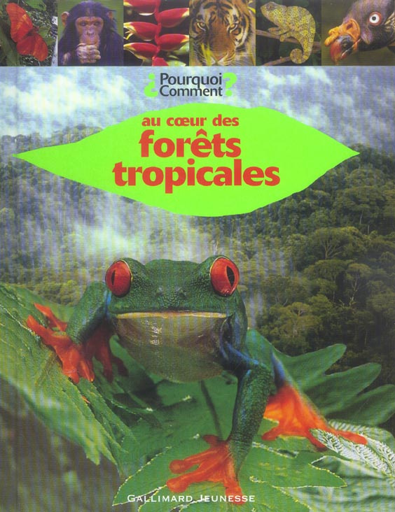 Au coeur des forêts tropicales
