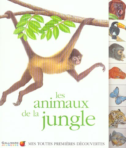 Les animaux de la jungle