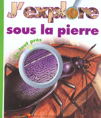 J'explore sous la pierre de tout près