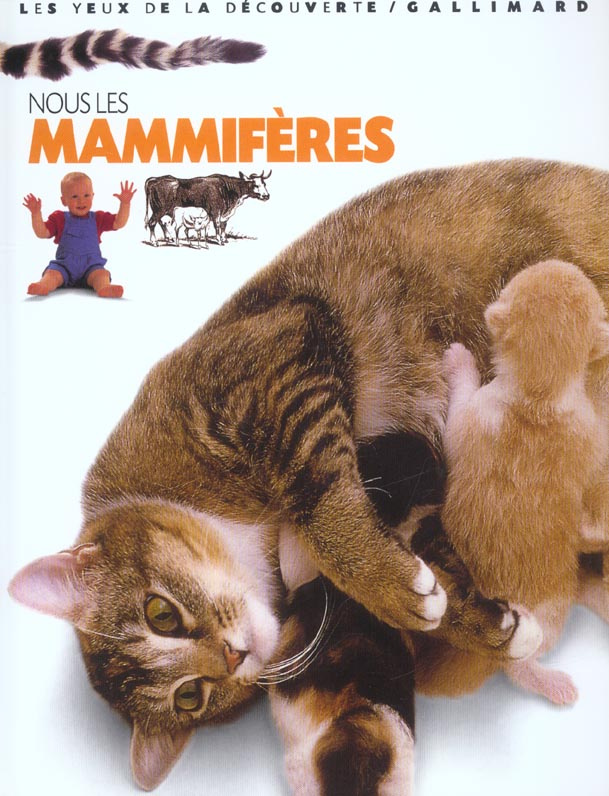 Nous les mammifères