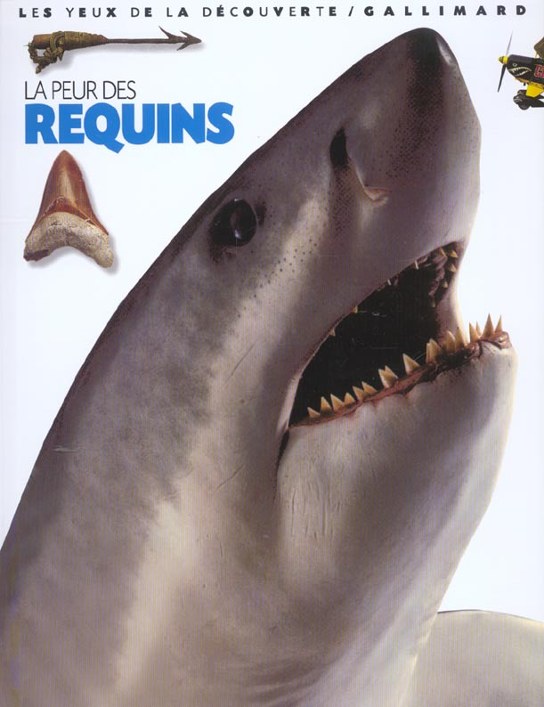 La peur des requins