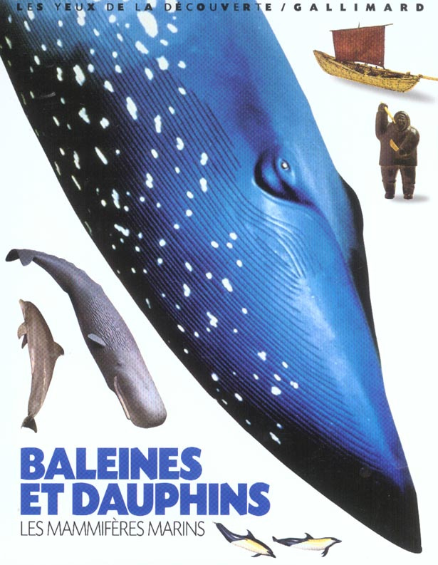 Les mammifères marins. Baleines et dauphins