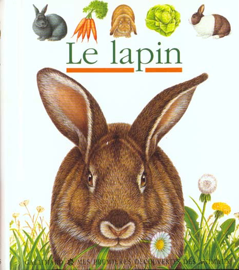 Le lapin