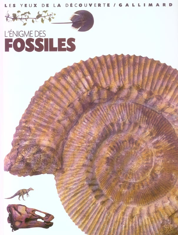 L'énigme des fossiles