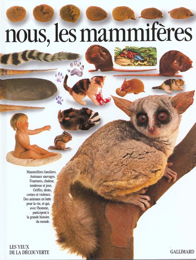 Nous les mammifères
