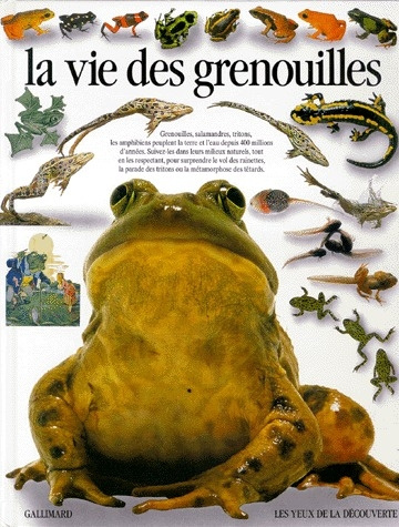 La vie des grenouilles