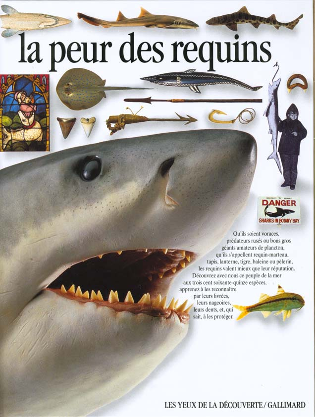 La peur des requins