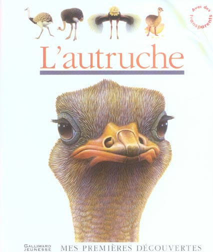 L'autruche