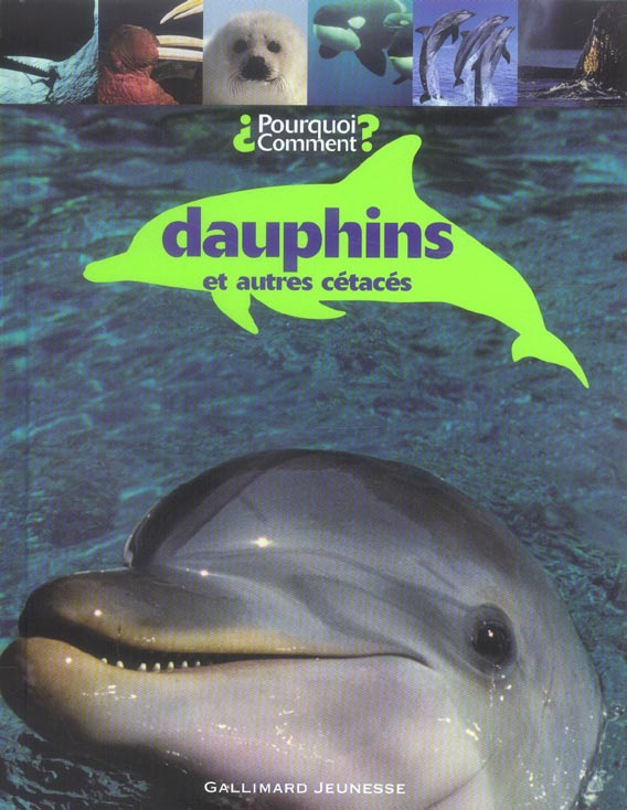 Dauphins et autres cétacés