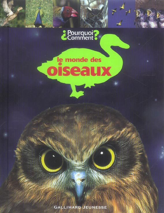 Le monde des oiseaux