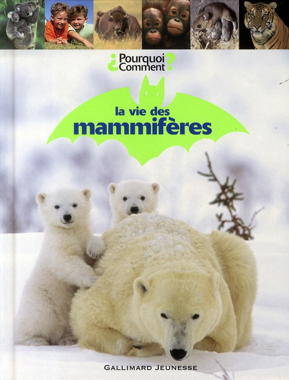 La vie des mammifères