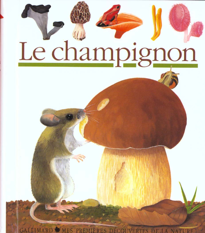Le champignon