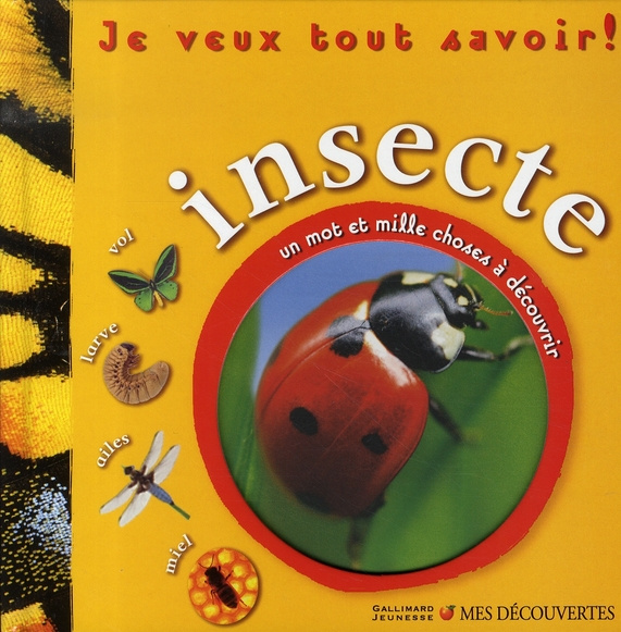 Je veux tout savoir ! Insecte. Un mot et mille choses à découvrir