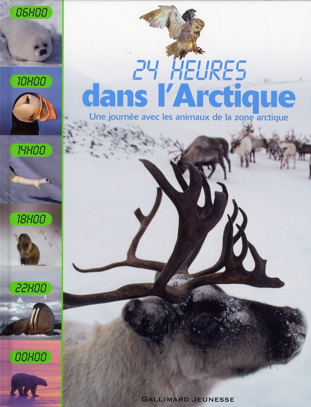 24 Heures dans l'Arctique. Une journée avec les animaux de la zone arctique