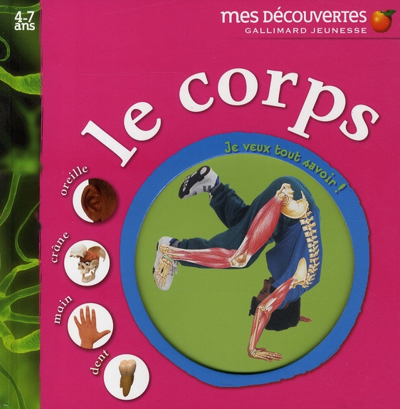 Le corps