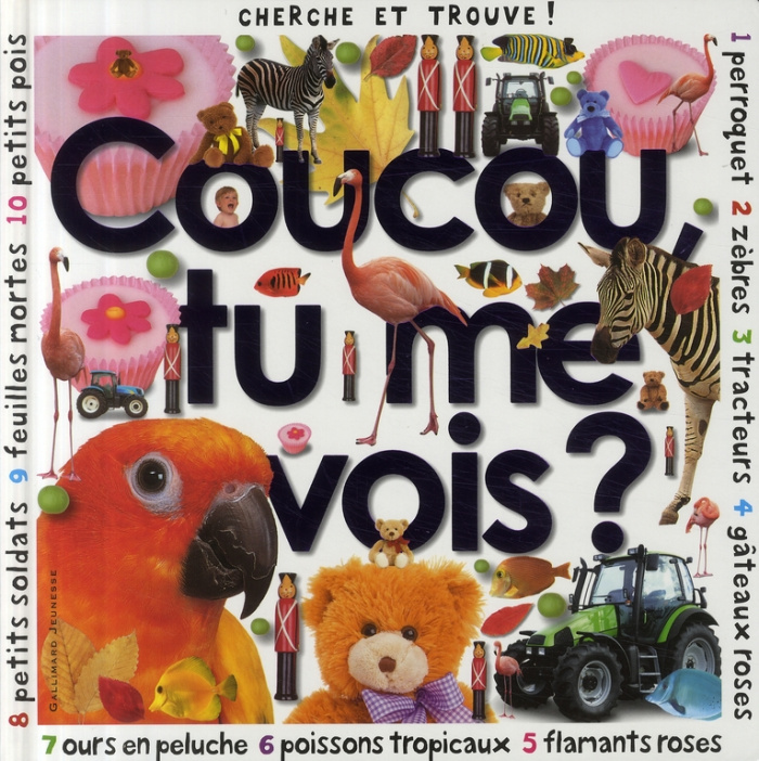 Coucou, tu me vois ?