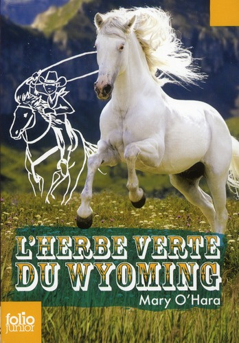L'herbe verte du Wyoming