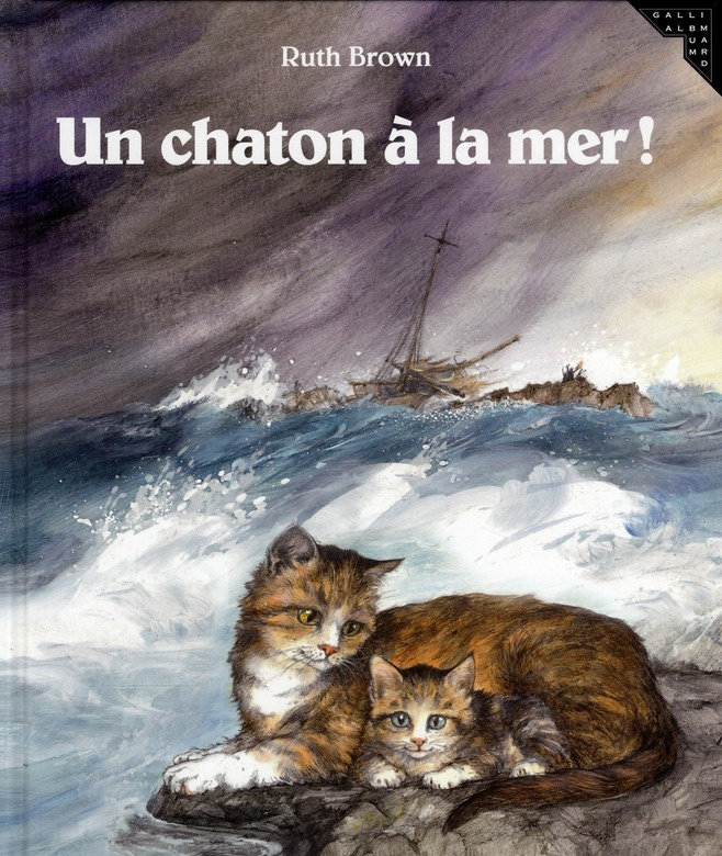 Un châton à la mer !