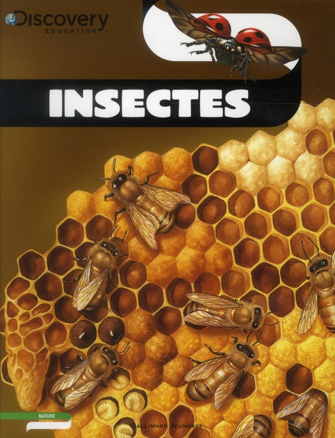 Insectes